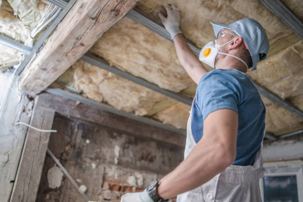 Best Insulation Materials and Products in Blue Mountain, MS