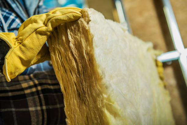Best Insulation Maintenance and Repair in Blue Mountain, MS