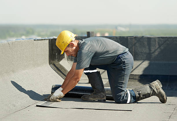 Best Commercial Insulation in Blue Mountain, MS