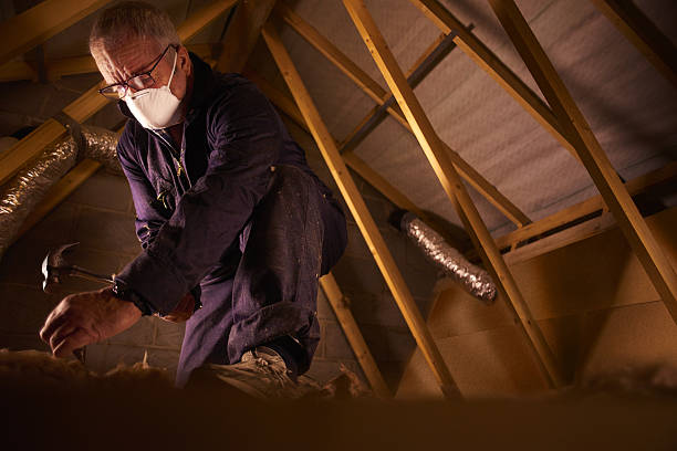 Best Insulation for Specific Applications in Blue Mountain, MS